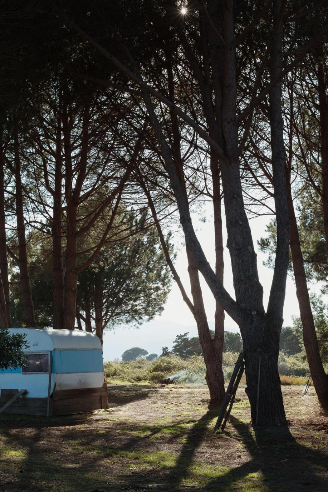 Caravane Janis On The Beach Lucciana  Dış mekan fotoğraf